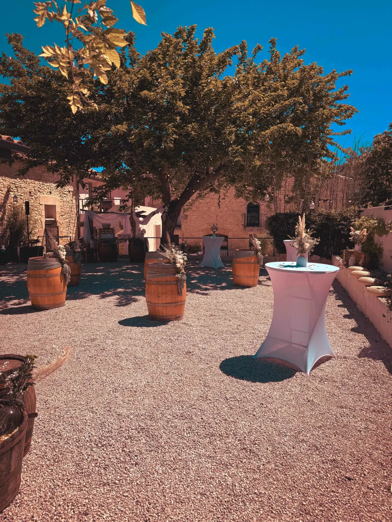 Mange-debout dressés sous le grand arbre