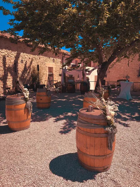 Le grand patio et son arbre